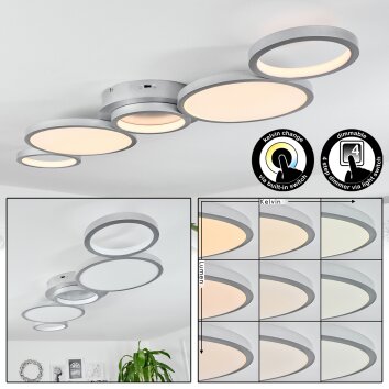 Plafonnier Carabajal LED Titane, 1 lumière