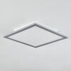 Plafonnier Wilderswil LED Blanc, 1 lumière