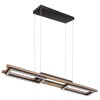 Suspension Globo ILLA LED Noir, 1 lumière