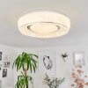 Plafonnier Tobosy LED Blanc, 1 lumière, Télécommandes