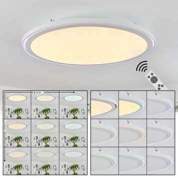 Plafonnier Telsen LED Blanc, 2 lumières, Télécommandes, Changeur de couleurs