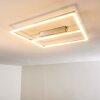 Plafonnier Rauma LED Nickel mat, 1 lumière