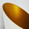 Applique murale Ricardone Blanc, 1 lumière