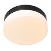 Plafonnier Steinhauer Ikaro LED Noir, 1 lumière