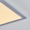 Plafonnier Wilderswil LED Blanc, 1 lumière