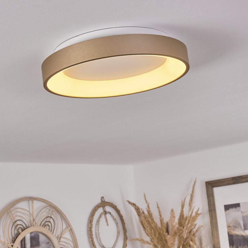 Plafonnier Charata LED Blanc, 1 lumière main product photo