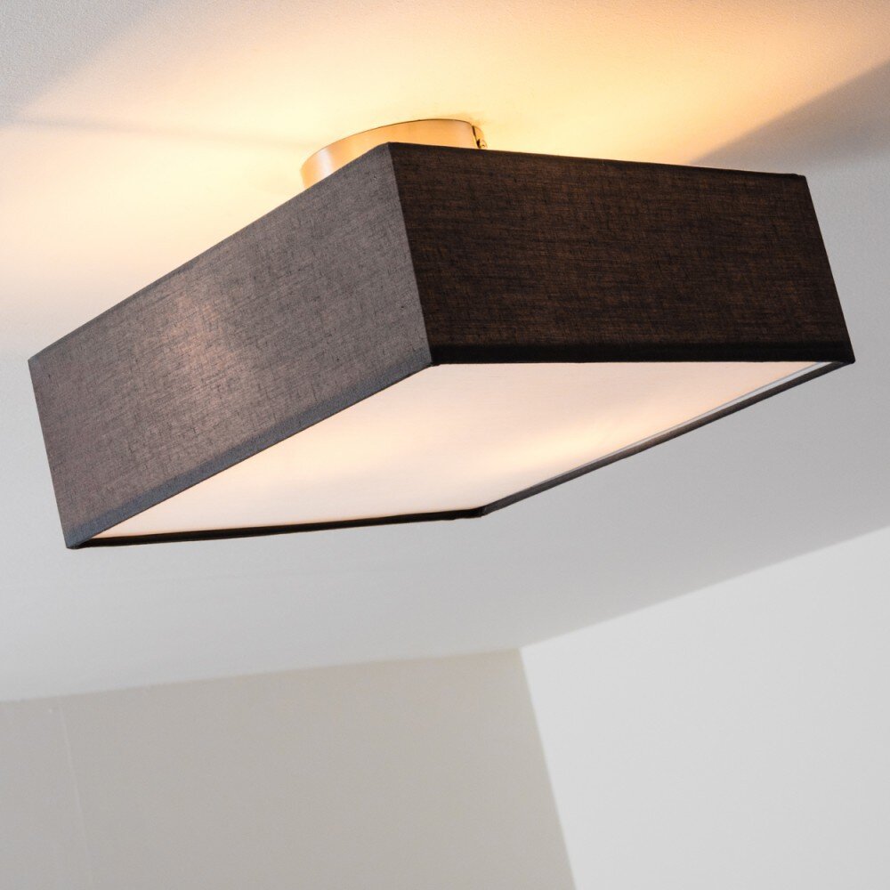 Plafonnier Trio Embassy Nickel mat, 2 lumières main product photo