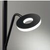 Lampadaire Fischer & Honsel Dent LED Noir, 1 lumière