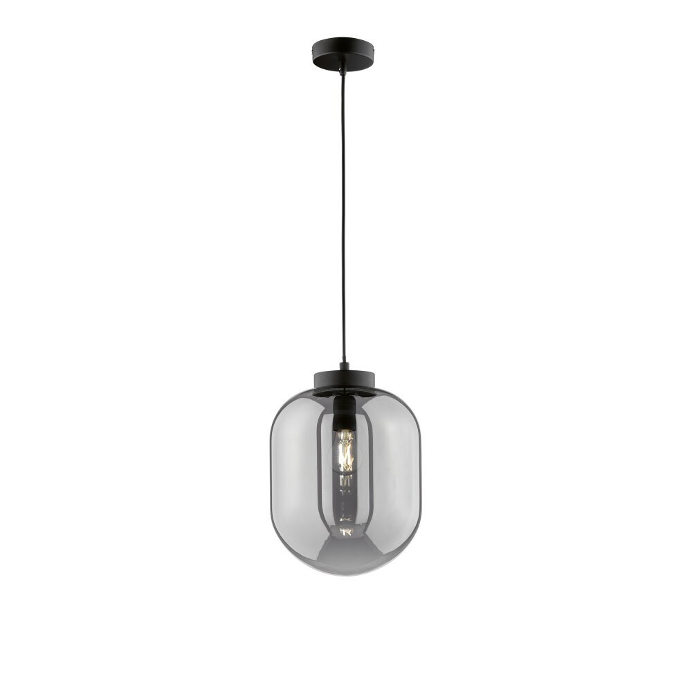 Suspension Fischer & Honsel Regi Noir, 1 lumière main product photo