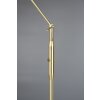 Lampadaire Trio Franklin LED Laiton, 1 lumière