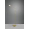 Lampadaire Trio Franklin LED Laiton, 1 lumière