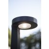 Borne lumineuse Lutec DISO LED Anthracite, 1 lumière