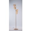 Lampadaire Luce Design NEPTUN Laiton, 4 lumières