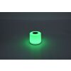 Lot de 2 lampes solaires Lutec NOMA LED Blanc, 2 lumières, Changeur de couleurs