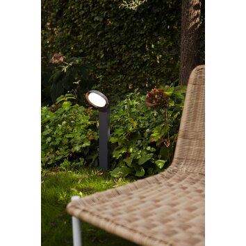 Borne lumineuse Lutec POLO LED Anthracite, 1 lumière