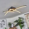 Plafonnier Rheinfelden LED Scintillant, Clair, 1 lumière