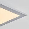 Plafonnier Wilderswil LED Blanc, 1 lumière