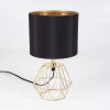 Lampe de table Marang Laiton, 1 lumière