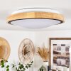 Plafonnier Corinto LED Écru, Noir, 1 lumière