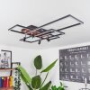 Plafonnier Deadwood LED Noir, Blanc, 6 lumières
