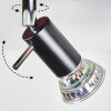 Plafonnier Deadwood LED Noir, Blanc, 6 lumières