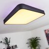 Plafonnier Batamoto LED Noir, Blanc, 2 lumières, Télécommandes, Changeur de couleurs