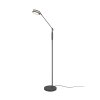 Lampadaire Trio Franklin LED Anthracite, 1 lumière