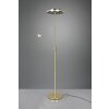 Lampadaire Trio Franklin LED Laiton, 2 lumières