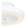 Ventilateur de plafond Globo DOMEY LED Blanc, 1 lumière, Télécommandes