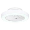 Ventilateur de plafond Globo DOMEY LED Blanc, 1 lumière, Télécommandes