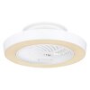 Ventilateur de plafond Globo DOMEY LED Blanc, 1 lumière, Télécommandes