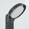 Borne lumineuse Kelo LED Anthracite, 1 lumière