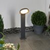 Borne lumineuse Kelo LED Anthracite, 1 lumière