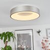 Plafonnier Playas LED Argenté, Blanc, 1 lumière