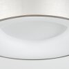 Plafonnier Playas LED Argenté, Blanc, 1 lumière