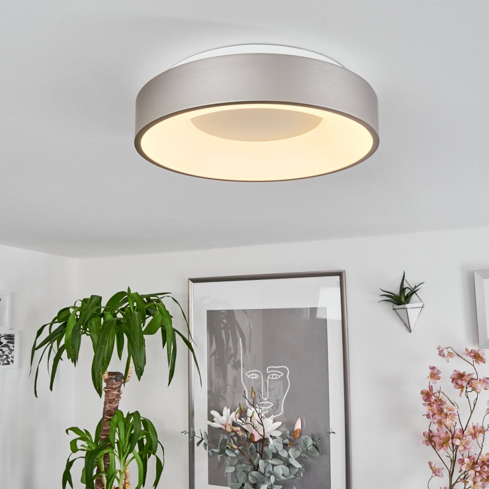 Plafonnier Playas LED Argenté, Blanc, 1 lumière main product photo