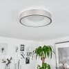 Plafonnier Playas LED Argenté, Blanc, 1 lumière