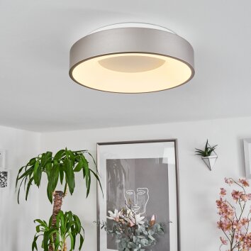 Plafonnier Playas LED Argenté, Blanc, 1 lumière