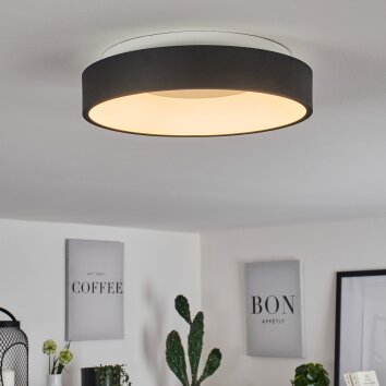 Plafonnier Playas LED Noir, Blanc, 1 lumière