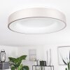 Plafonnier Playas LED Argenté, Blanc, 1 lumière