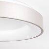 Plafonnier Playas LED Argenté, Blanc, 1 lumière