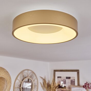 Plafonnier Playas LED Or, Blanc, 1 lumière