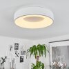 Plafonnier Playas LED Blanc, 1 lumière