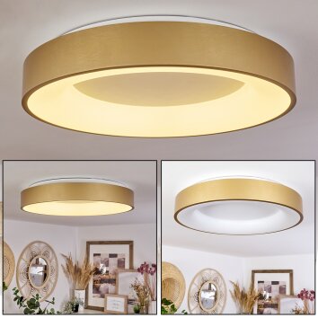 Plafonnier Playas LED Or, Blanc, 1 lumière