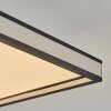 Plafonnier Nabbas LED Noir, Blanc, 1 lumière, Télécommandes