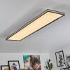 Plafonnier Nabbas LED Noir, Blanc, 1 lumière, Télécommandes