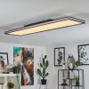 Plafonnier Nabbas LED Noir, Blanc, 1 lumière, Télécommandes