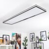 Plafonnier Nabbas LED Noir, Blanc, 1 lumière, Télécommandes