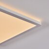 Plafonnier Boyero LED Blanc, 1 lumière