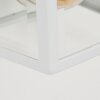 Applique murale d'extérieur Murto Blanc, 1 lumière